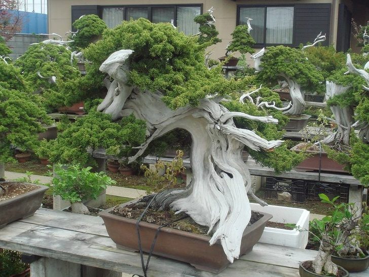 20張「會改變你看待世界的方式」的驚奇事物　懷孕的松鼠媽媽超可愛～