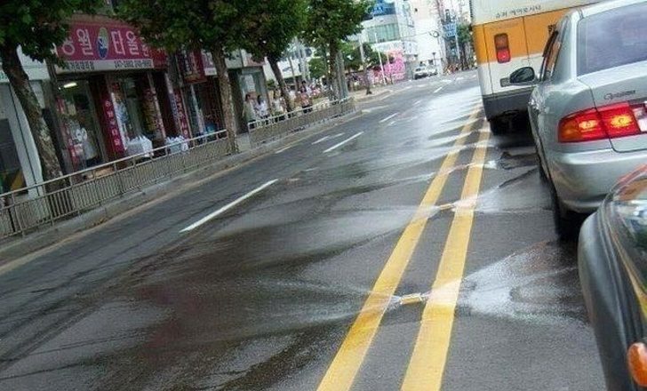 20張「會改變你看待世界的方式」的驚奇事物　懷孕的松鼠媽媽超可愛～