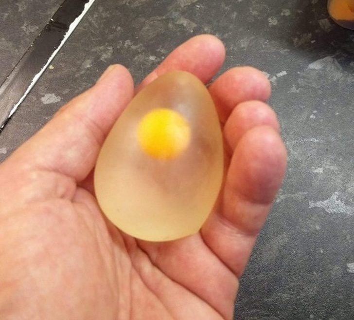 20張「會改變你看待世界的方式」的驚奇事物　懷孕的松鼠媽媽超可愛～