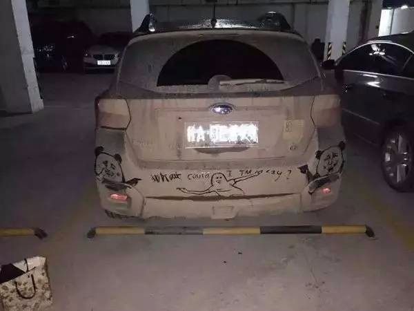 街頭看到一女孩在車玻璃上畫畫，車主不捨得擦，和大家一起欣賞