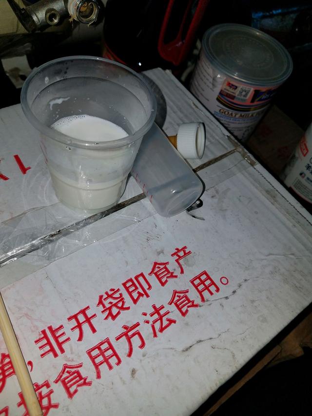 男子在下水道裡救出一窩奶貓，帶回家餵養一周後，貓咪竟然。。。