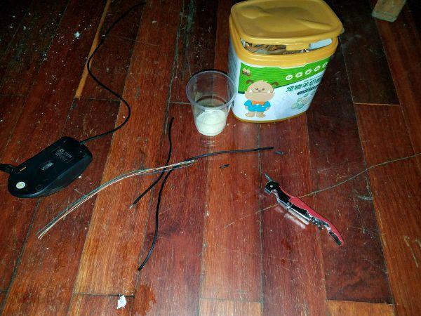 男子在下水道裡救出一窩奶貓，帶回家餵養一周後，貓咪竟然。。。