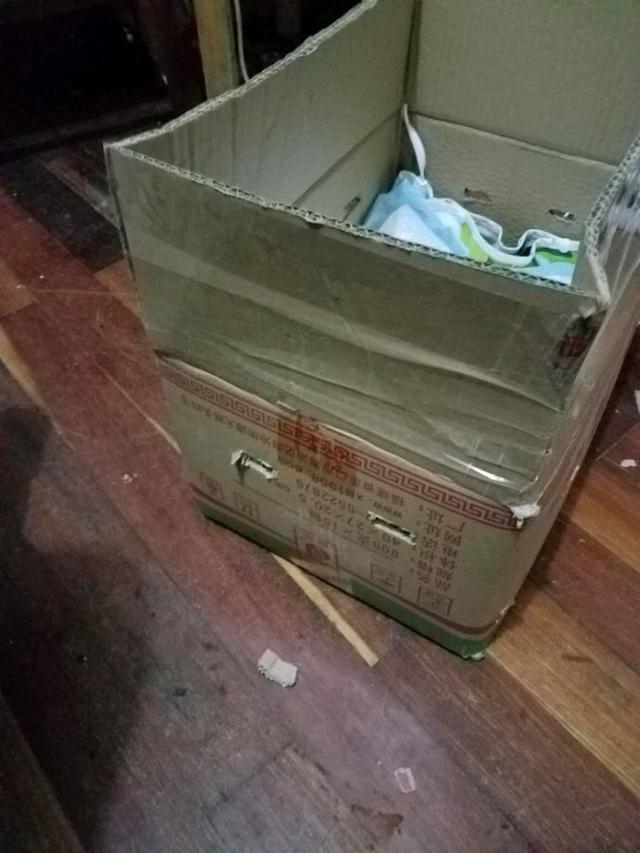 男子在下水道裡救出一窩奶貓，帶回家餵養一周後，貓咪竟然。。。