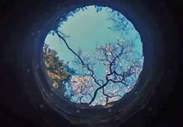 能看懂這些圖片的人，都是有故事的人....你看懂幾張？