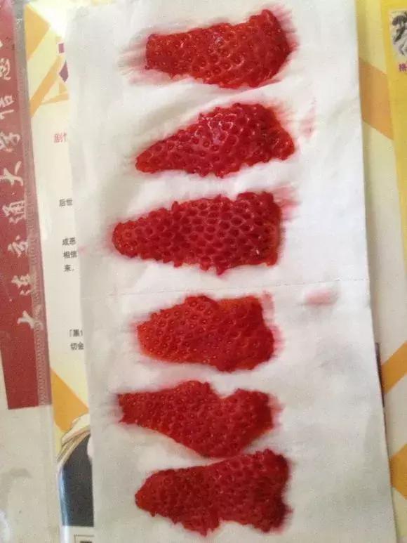 草莓刮點皮，扔土裡芽直冒，果子雞蛋大，吃不完！