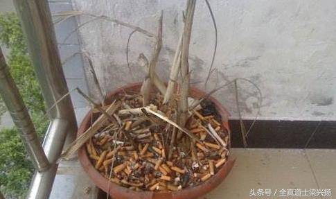 你運氣不好，霉運纏身嗎？可能家裡犯了這些風水禁忌，最好注意一下哦！！