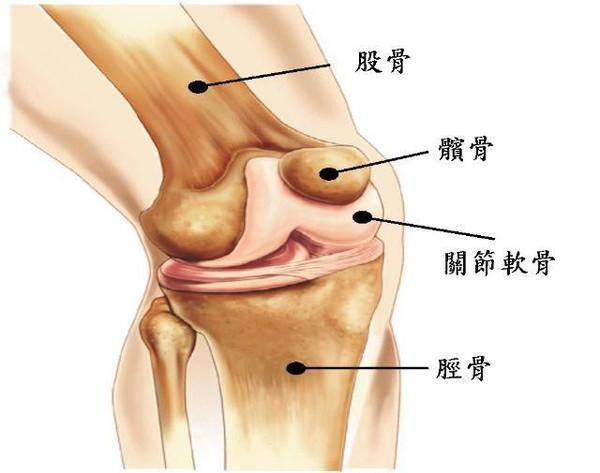 一把粗鹽加生薑，消炎散寒、止痛治痛、膝蓋關節不再疼了