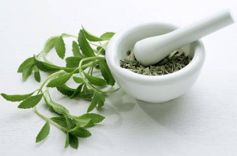 馬齒莧被譽為救命菜，常用它煮水喝，4個好處不請自來，現在開始喝也不晚