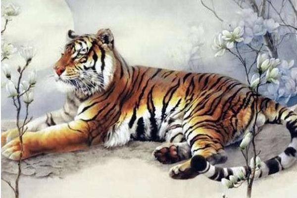 十二生肖 2019年的幸運顏色，什麽顔色最旺你？看看就懂了