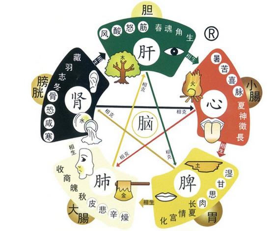 中醫五行與五臟，五色，五竅，五味，五志的關係