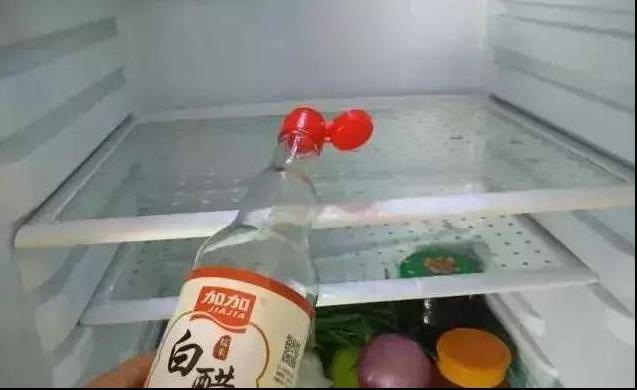 冰箱總是臭臭的有異味？只需放一個小東西，冰箱裡不結冰，異味沒有了，每個月還能省100元電費哦！ 