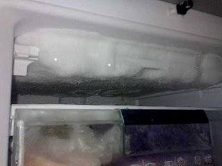 冰箱總是臭臭的有異味？只需放一個小東西，冰箱裡不結冰，異味沒有了，每個月還能省100元電費哦！ 