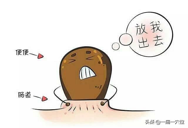 經常便秘不用愁，每天按按3個穴位，排便輕鬆了精神也好了！