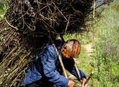 光棍上山砍柴，撿回一窩蛇蛋，孵化後放回深山，第二天回到家傻了