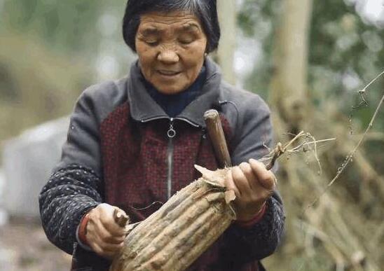 婆婆生日只有兒媳來，兒媳走後婆婆偷偷跟去，看到兒子，蒙了