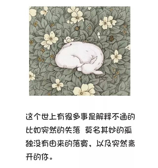 不聯繫，不打擾，是我對你最後的愛 