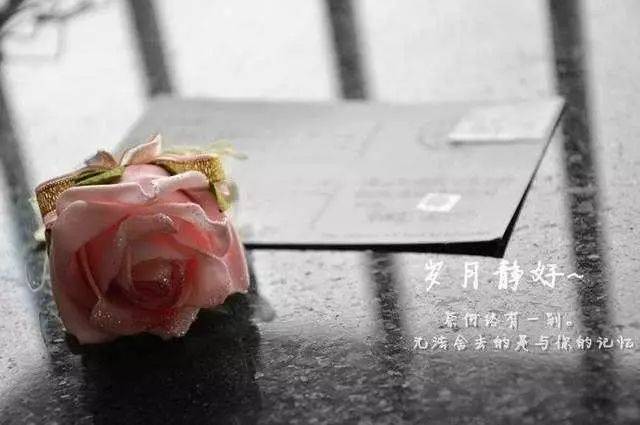 不聯繫，不打擾，是我對你最後的愛 
