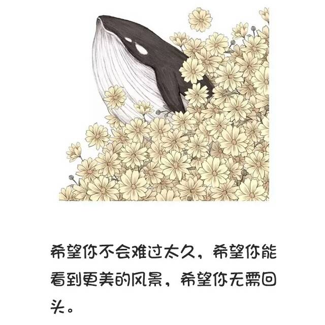 不聯繫，不打擾，是我對你最後的愛 