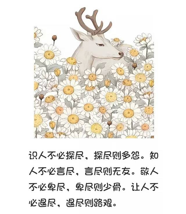 不聯繫，不打擾，是我對你最後的愛 