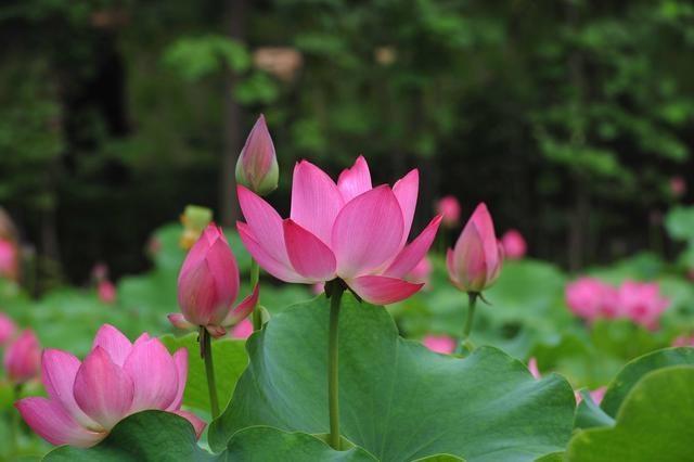 婆婆說誰生的孩子誰養，我沒責任養，幾年後我把這話送給她！