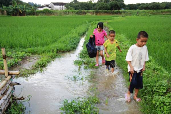 10歲姊姊獨自一個人照顧弟弟們...有人想領養弟弟，姊姊「1句話」淚崩：懂事的孩子總讓人心疼