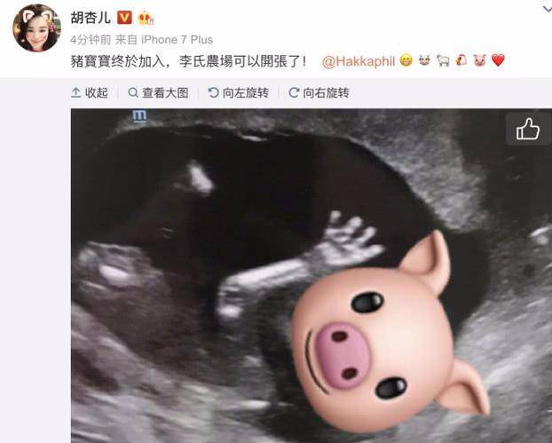 胡杏兒宣布懷孕後首次現身，與陳展鵬孕妻相聚，奕霆仔又搶鏡了