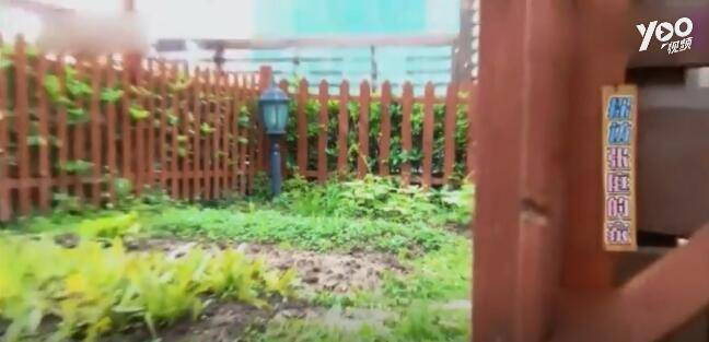 張庭豪宅曝光，一間房全是鞋還帶空中花園，網友：李湘家輸了!!