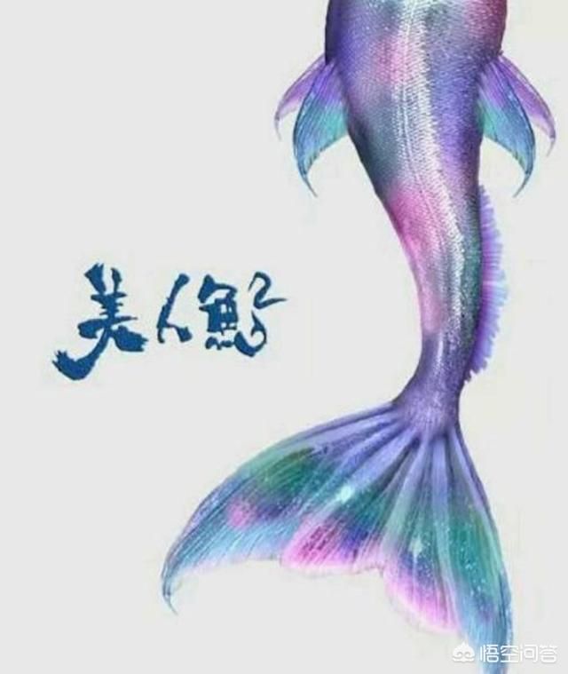 【農曆新年必看！】2019年13部賀歲片搶先看！星爺的《喜劇之王》、《美人魚》兩大喜劇強勢回歸！