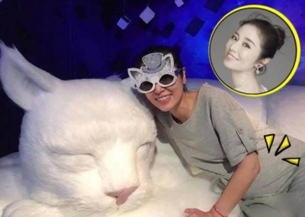 女星孕照曝光！孫儷100分、baby90分、楊冪80分，而「她80公斤給120分都嫌少」！