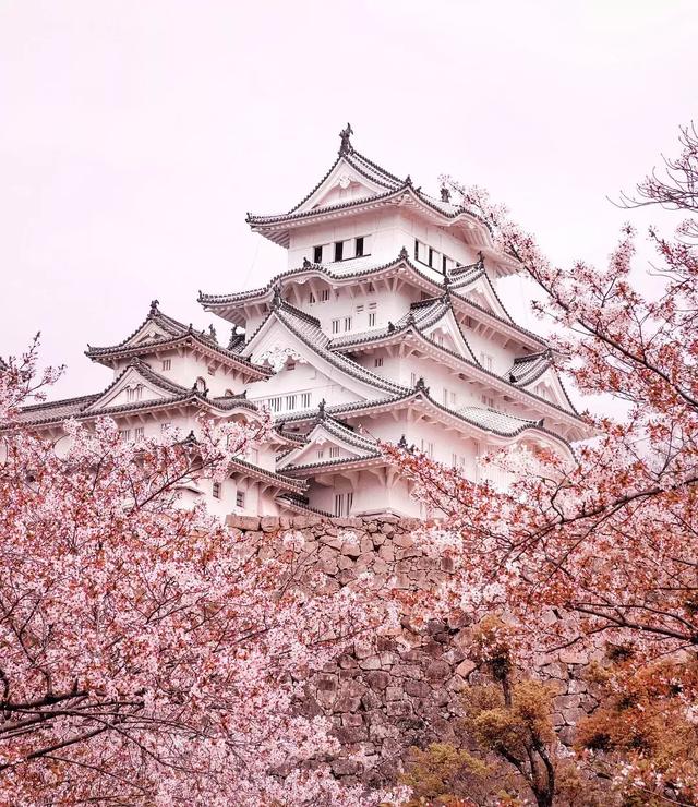 日本8大最佳賞櫻地全攻略 請收好！