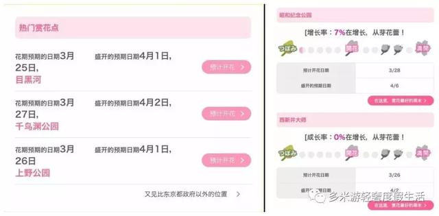 日本8大最佳賞櫻地全攻略 請收好！