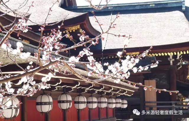 日本8大最佳賞櫻地全攻略 請收好！