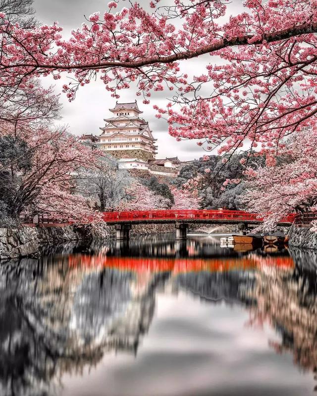 日本8大最佳賞櫻地全攻略 請收好！