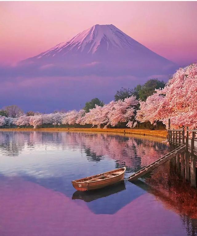 日本8大最佳賞櫻地全攻略 請收好！