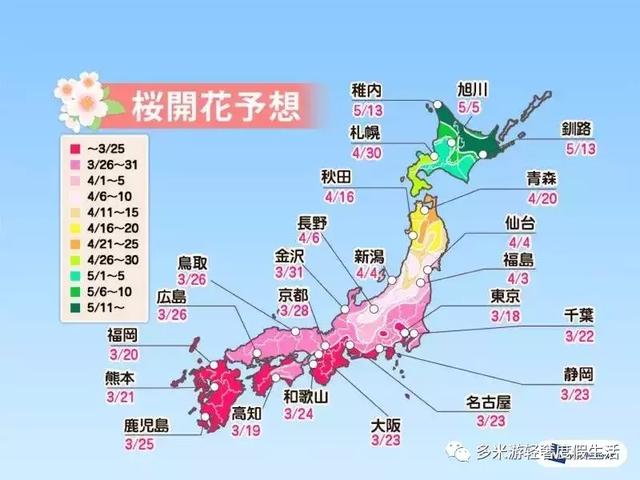 日本8大最佳賞櫻地全攻略 請收好！