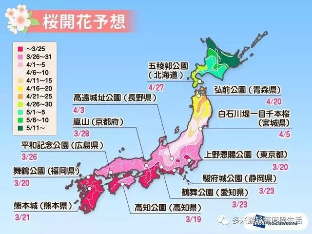 日本8大最佳賞櫻地全攻略 請收好！