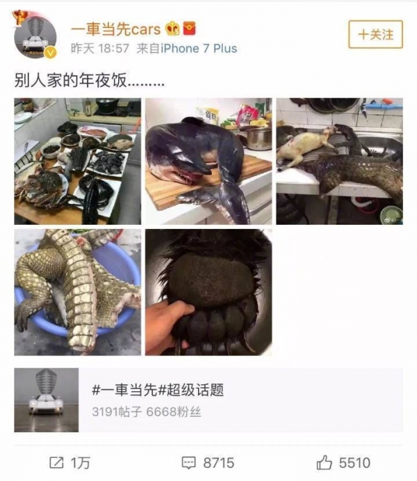 網友曬穿山甲、熊掌還有鯊魚「年夜飯」引起網友眾怒！隔天當事人出來澄清，讓大家更討厭...！