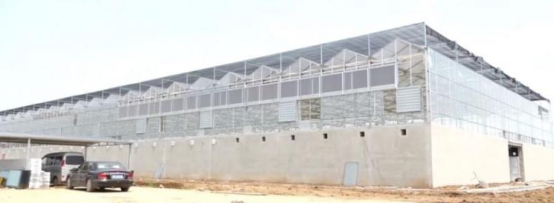 革命性垃圾處理法！中國工廠靠10億隻蟑螂　輕鬆清光「55噸廚餘垃圾」台灣也可以馬上仿傚～
