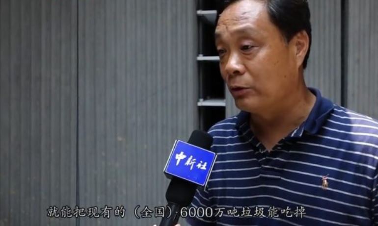 革命性垃圾處理法！中國工廠靠10億隻蟑螂　輕鬆清光「55噸廚餘垃圾」台灣也可以馬上仿傚～