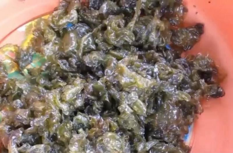 下雨天才有的一種野味，比「人參」還珍貴，市面花錢都未必能買