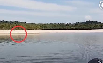 大叔在快淹沒無人荒島遇到「皮包骨黑犬」被惡意遺棄！不顧全船反對丟包，執意救牠回家！如今狗狗烏黑亮麗超美，擁有第二次生命！