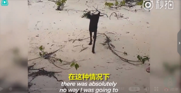 大叔在快淹沒無人荒島遇到「皮包骨黑犬」被惡意遺棄！不顧全船反對丟包，執意救牠回家！如今狗狗烏黑亮麗超美，擁有第二次生命！