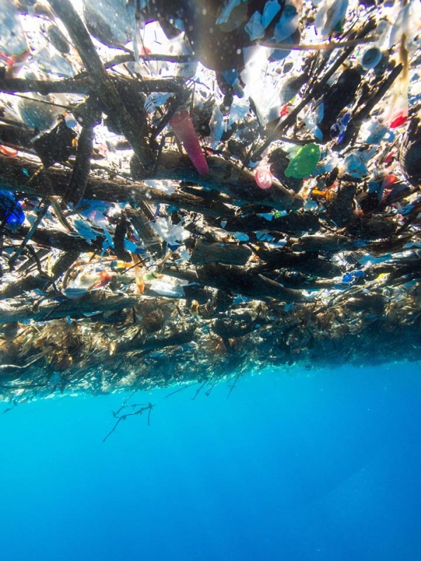 超震撼「垃圾海」讓人痛心！海邊掀「垃圾巨浪」！學生志工全嚇傻不知該怎麼辦！專家：2050年大海「塑膠會比魚多」！