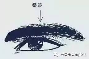「男人看鼻，女人看眉」不想破財傷災、窮困潦倒，這10種眉毛一定要改！ ！