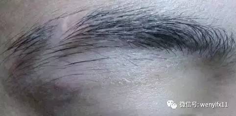 「男人看鼻，女人看眉」不想破財傷災、窮困潦倒，這10種眉毛一定要改！ ！