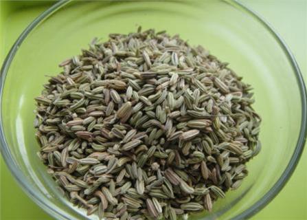 茴香加食鹽，堅持10天，腰腿痛不見了，連腰突、坐骨痛也消了