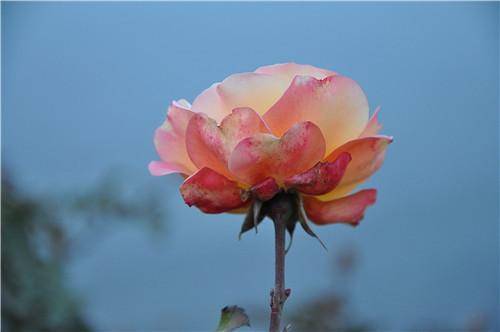 夫妻緣盡，難逃3個徵兆