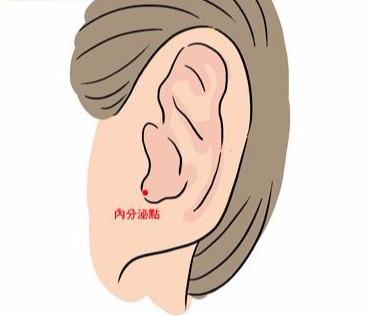 中醫穴位養生：按摩耳朵5穴道，調整荷爾蒙、排毒又健腦