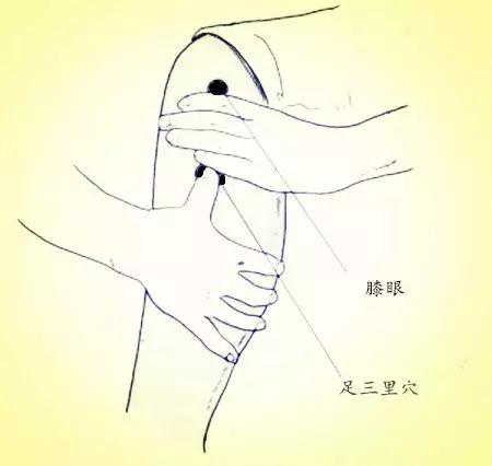 按揉足三里，為啥沒作用？專家：按揉方向不同，治療作用大不同！