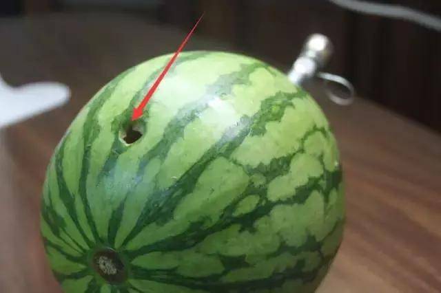 毒販為了販毒，無所不用其極，超乎你的想像